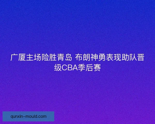 广厦主场险胜青岛 布朗神勇表现助队晋级CBA季后赛