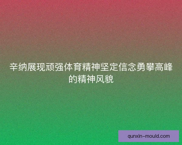 辛纳展现顽强体育精神坚定信念勇攀高峰的精神风貌